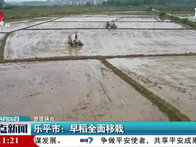 乐平市：早稻全面移栽
