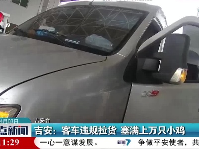 吉安：客车违规拉货 塞满上万只小鸡