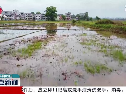 广昌：实施人工增雨缓解春旱