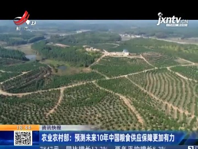 农业农村部：预测未来10年中国粮食供应保障更加有力