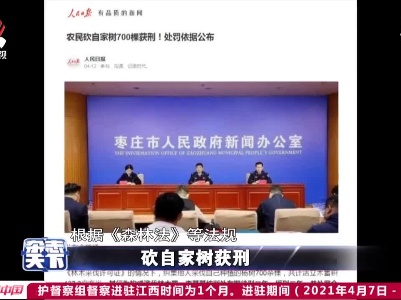 砍自家树获刑