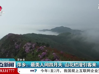 萍乡：最美人间四月天 山花烂漫引客来