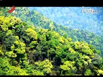 全国植被生态质量达20年来最高