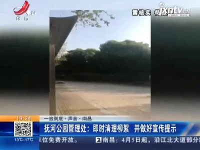 【一追到底·声音】南昌·抚河公园管理处：即时清理柳絮 并做好宣传提示