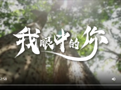 新华全媒+ | 红色印记，我的追寻 | 红色百宝·清明节特辑
