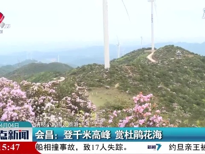 【清明小长假·旅游】会昌：登千米高峰 赏杜鹃花海