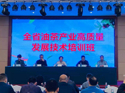全省油茶产业高质量发展 技术培训班在横峰举办