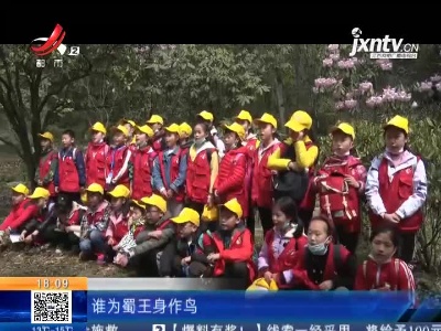 九江：庐山植物园第五届杜鹃花节开幕