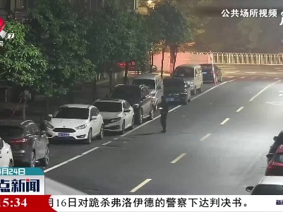 新余：深夜砸车盗窃 男子被抓现行