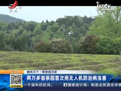 【赣闻天下】景德镇浮梁：两万多亩茶园首次用上无人机防治病虫害