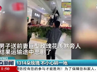 四川：1314朵玫瑰 不小心碎一地