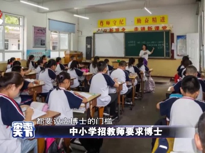 中小学招教师要求博士