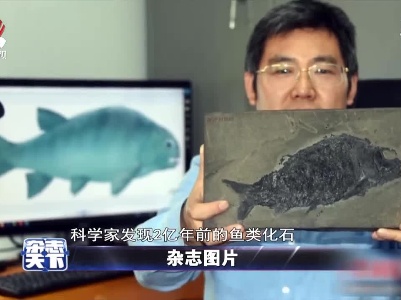 科学家发现2亿年前的鱼类化石