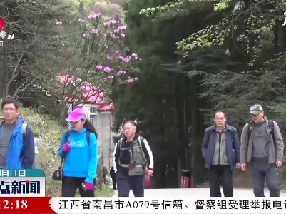 整点新闻20210411 14:00