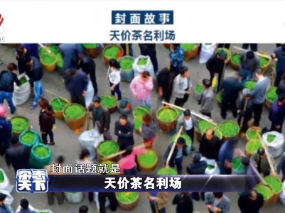 天价茶名利场