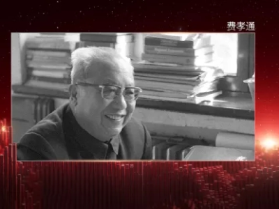 张维为：中国共产党的最大成就之一，就是把中国人民组织起来了