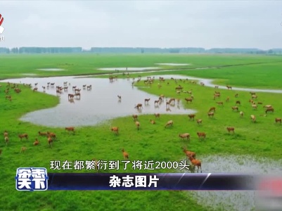 杂志天下20210426