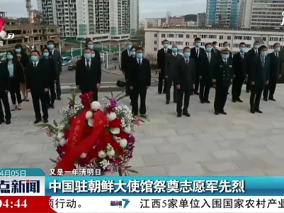 【又是一年清明日】中国驻朝鲜大使馆祭奠志愿军先烈