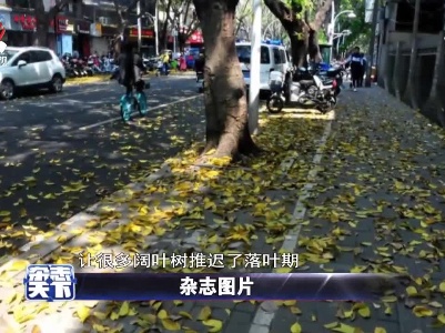 福州：“春日秋景”