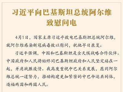 习近平向巴基斯坦总统阿尔维致慰问电