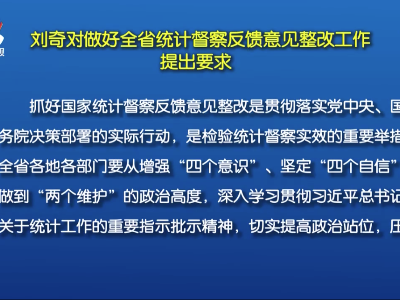全省统计督察反馈意见整改工作动员会召开 刘奇易炼红提出要求