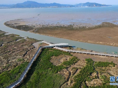 以前所未有的雄心和行动 共同构建人与自然生命共同体——习近平主席在领导人气候峰会上的重要讲话解读