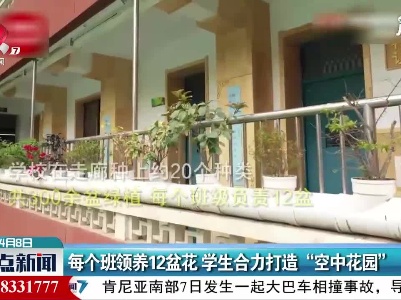 陕西：每个班领养12盆花 学生合力打造“空中花园”