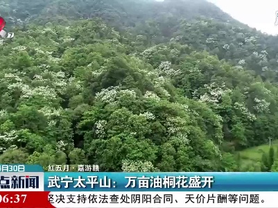 【红五月·嘉游赣】武宁太平山：万亩油桐花盛开