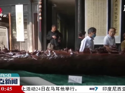 上饶：罕见六米古沉木雕刻 再现“丝路通天”