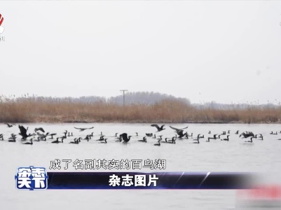 黑龙江：“百鸟湖”