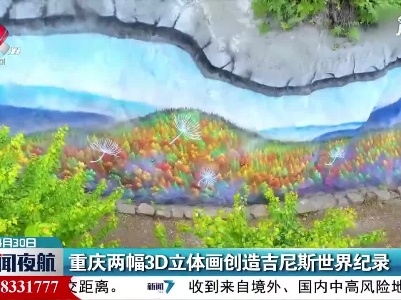 重庆两幅3D立体画创造吉尼斯世界纪录