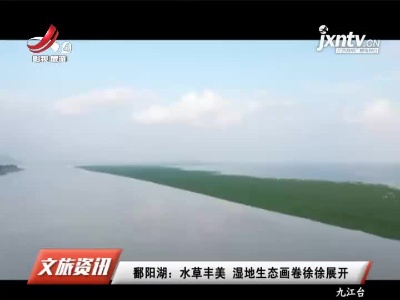 鄱阳湖：水草丰美 湿地生态画卷徐徐展开