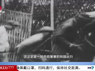 【红色百宝 奋斗百年】邓颖超的列席证，见证一段莫斯科“冒险”风云！