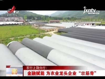 农行上饶分行：金融赋能 为农业龙头企业“壮筋骨”
