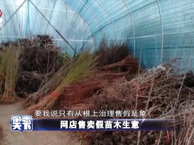 网店售卖假苗木生意