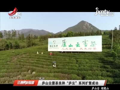 九江：庐山云雾茶良种“庐云”系列扩繁成功