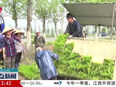 上饶：抓实早稻生产 保障粮食安全