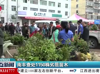 南丰查处1150株劣质苗木