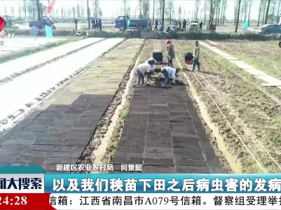 新闻大搜索20210416