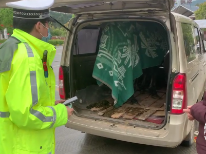 江西交警打开面包车门，里面跑出一匹马