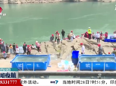 23.3万尾长江上游珍稀特有鱼类集中放流长江