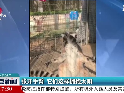 山东：张开手臂 它们这样拥抱太阳