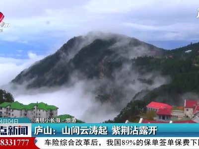 整点新闻20210404 14:00