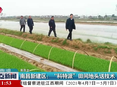 南昌新建区：“科特派”田间地头送技术