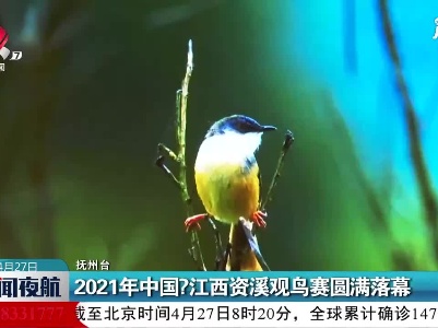 抚州：2021年中国·江西资溪观鸟赛圆满落幕