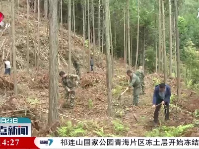 婺源：“近自然造林”方法被国家推广