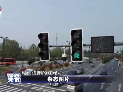 河南：牡丹花版红绿灯