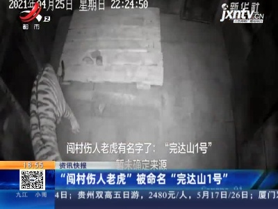 黑龙江：“闯村伤人老虎”被命名“完达山1号”