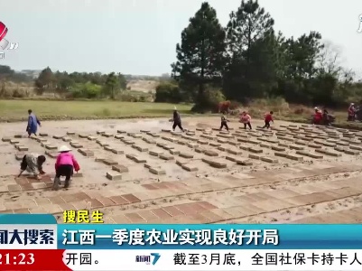 新闻大搜索20210426
