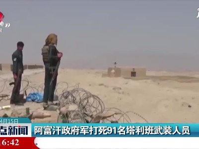 阿富汗政府军打死91名塔利班武装人员